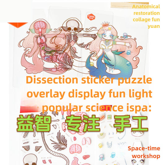 Anatomical Adventure Sticker Puzzle Set