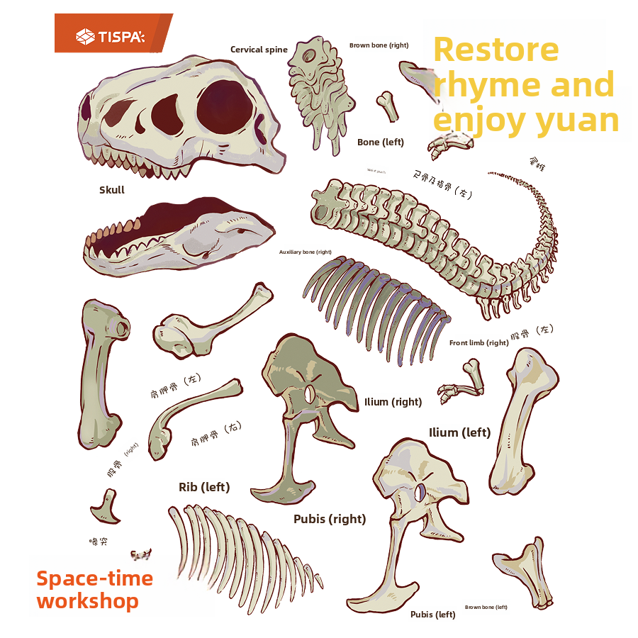 Anatomical Adventure Sticker Puzzle Set