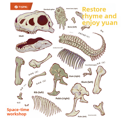 Anatomical Adventure Sticker Puzzle Set