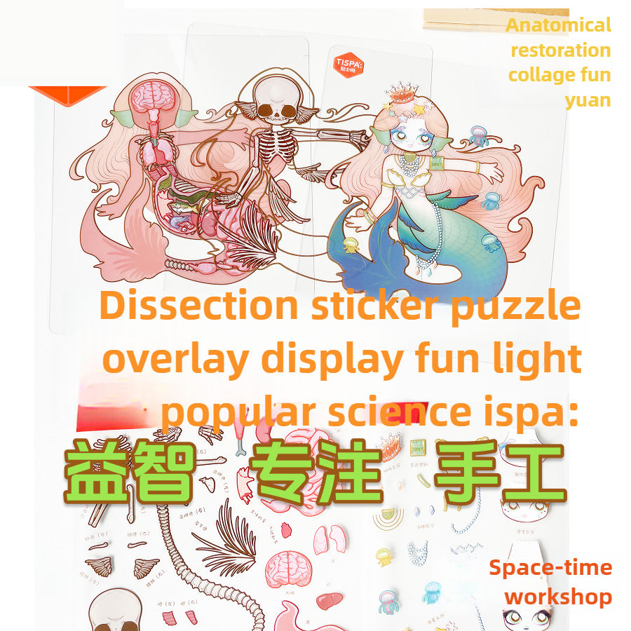 Anatomical Adventure Sticker Puzzle Set
