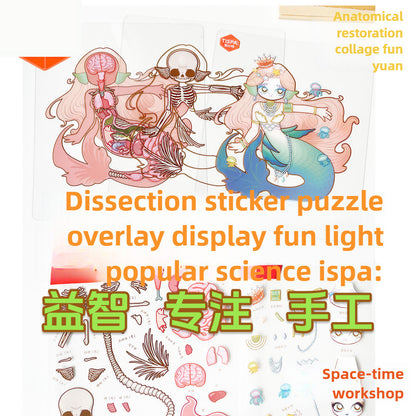 Anatomical Adventure Sticker Puzzle Set