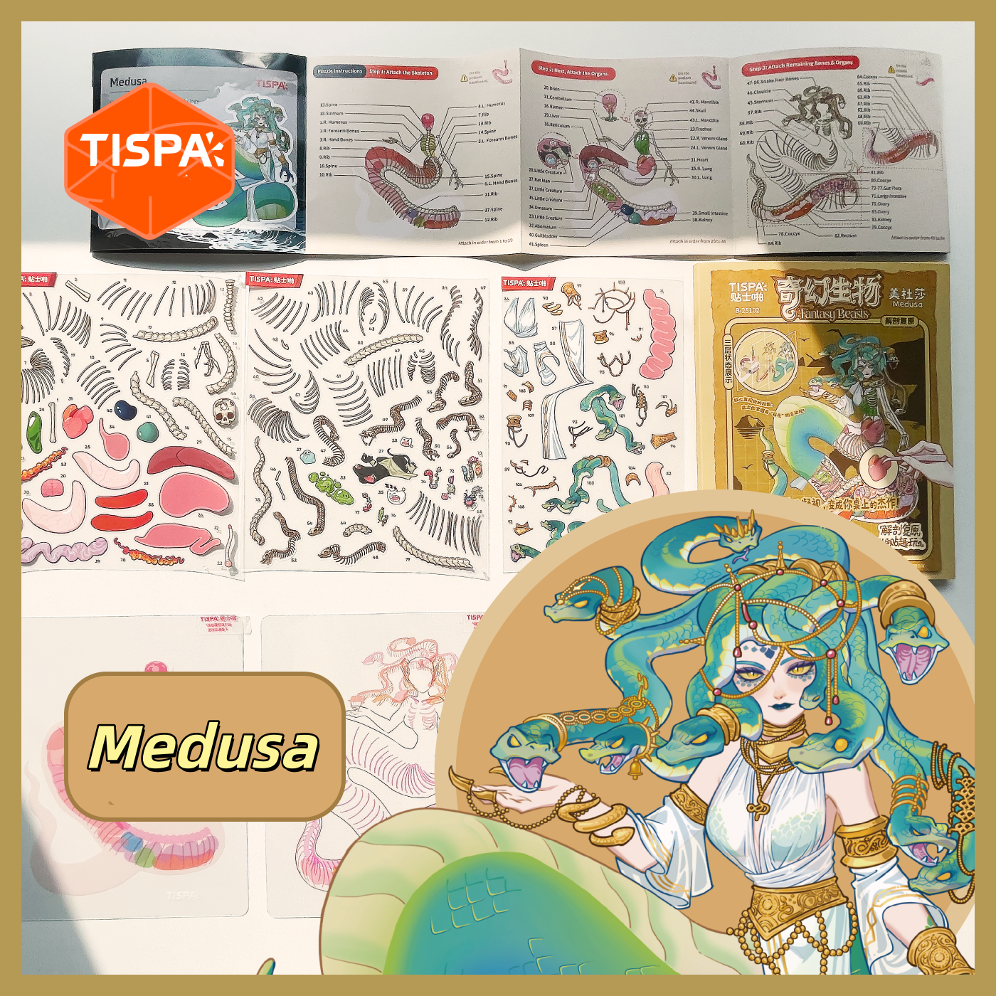 Anatomical Restoration 5.0 Scenery Sticker Puzzle Ornament: Visual Structure of Fantasy Creatures # 1