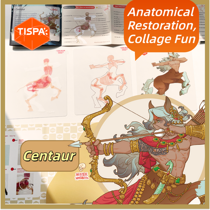 Anatomical Restoration 5.0 Scenery Sticker Puzzle Ornament: Visual Structure of Fantasy Creatures # 1