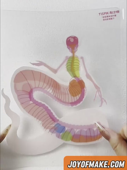 Anatomical Restoration 5.0 Scenery Sticker Puzzle Ornament: Visual Structure of Fantasy Creatures # 1
